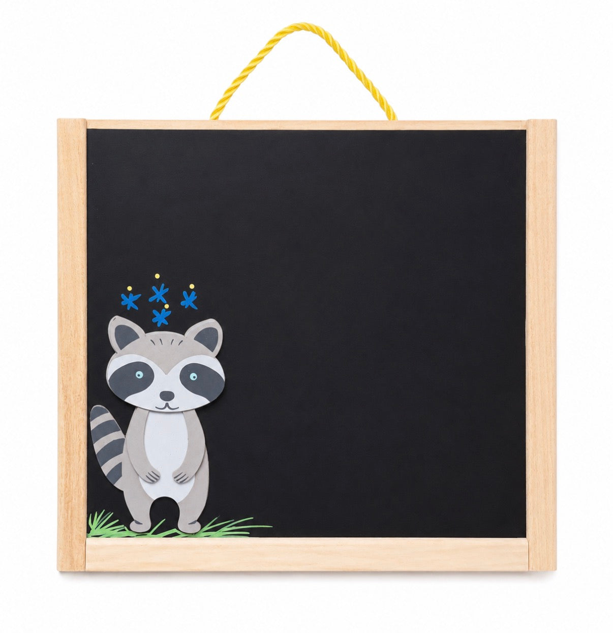 Raccoon